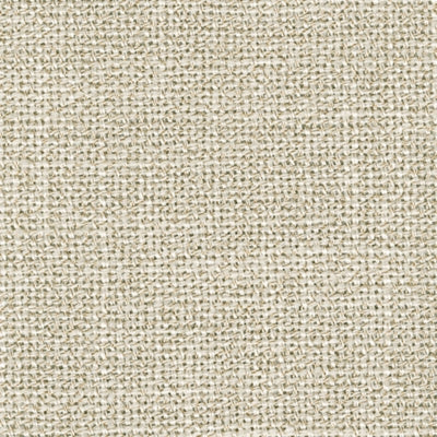 10006S2-COLOR