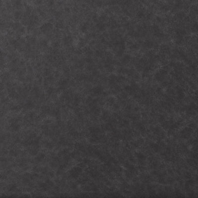 17004S1-COLOR