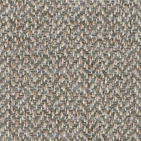 3730739-COLOR