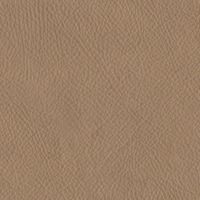 38006S1C-COLOR