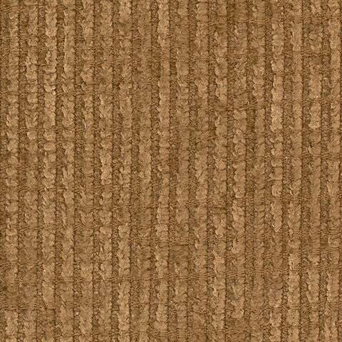 3860525-COLOR