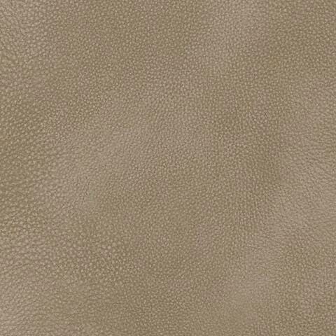 4070912-COLOR