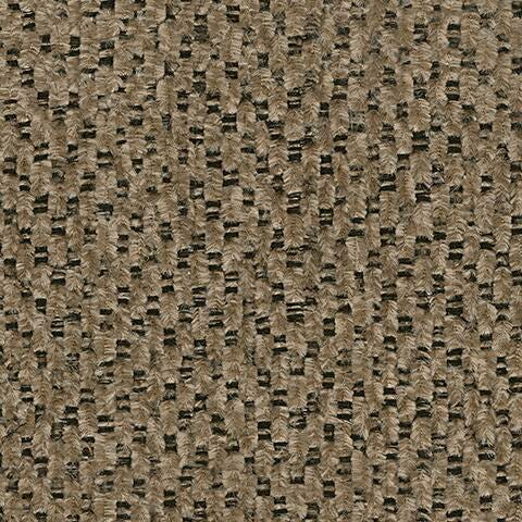 4450525-COLOR