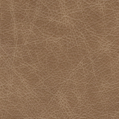 5730238C-COLOR