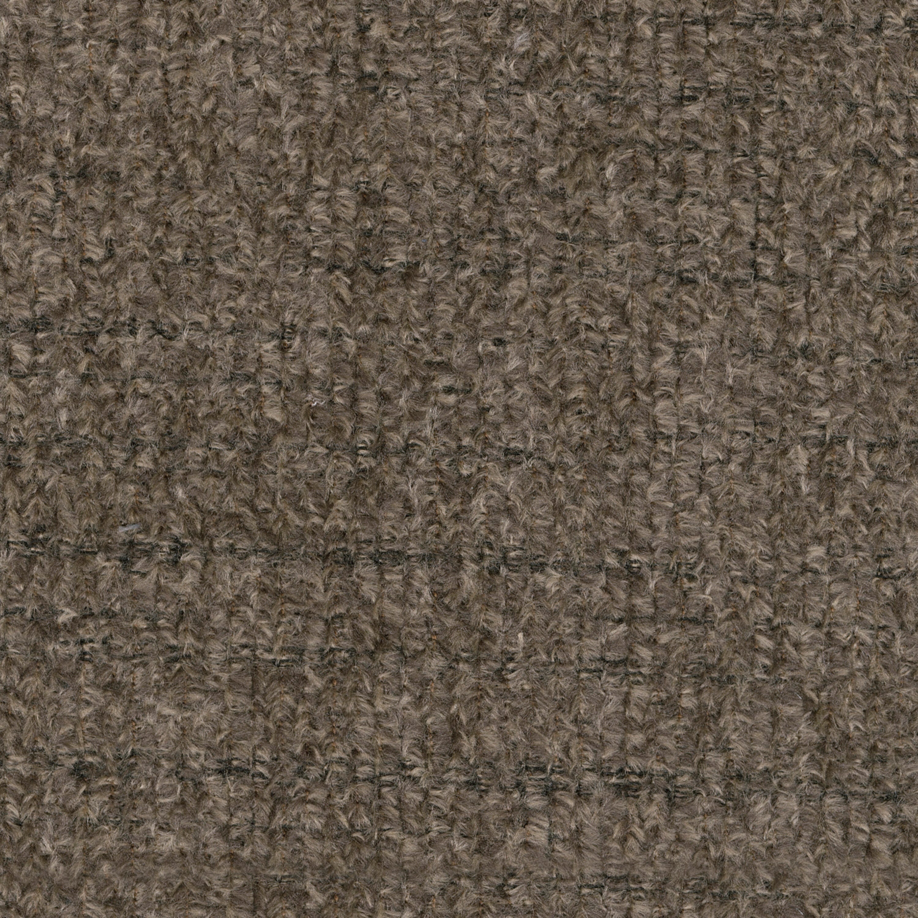 5950539-COLOR