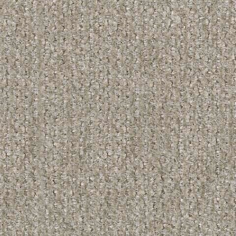 5980339-COLOR