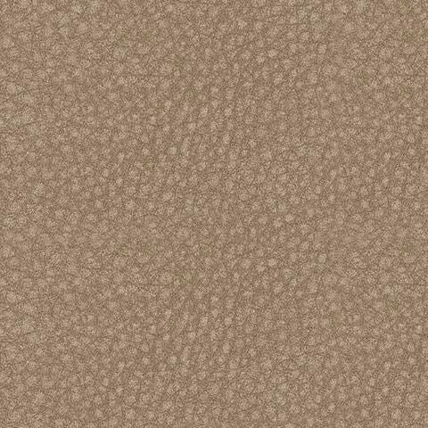 61004S11-COLOR
