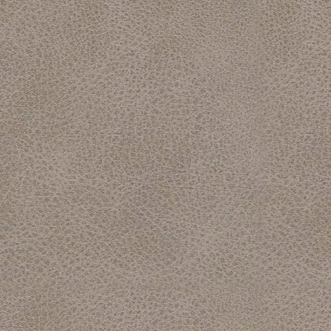6330794-COLOR