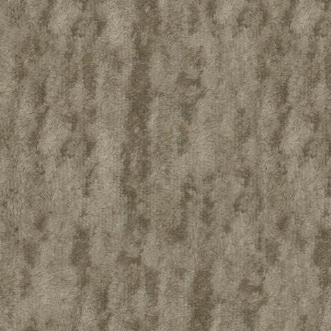 6380329-COLOR