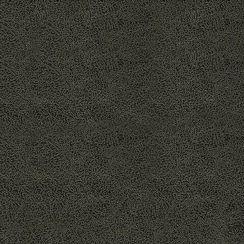 PC6560525-COLOR