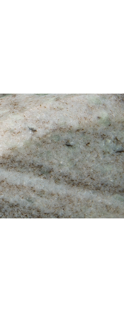 A2000618-COLOR