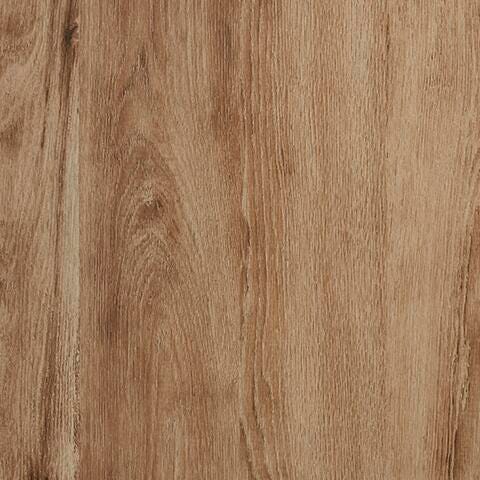 B1050-57-COLOR