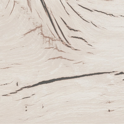 B2310-46-COLOR