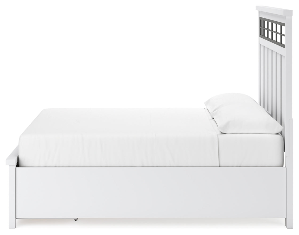 PKG016984-IMG22