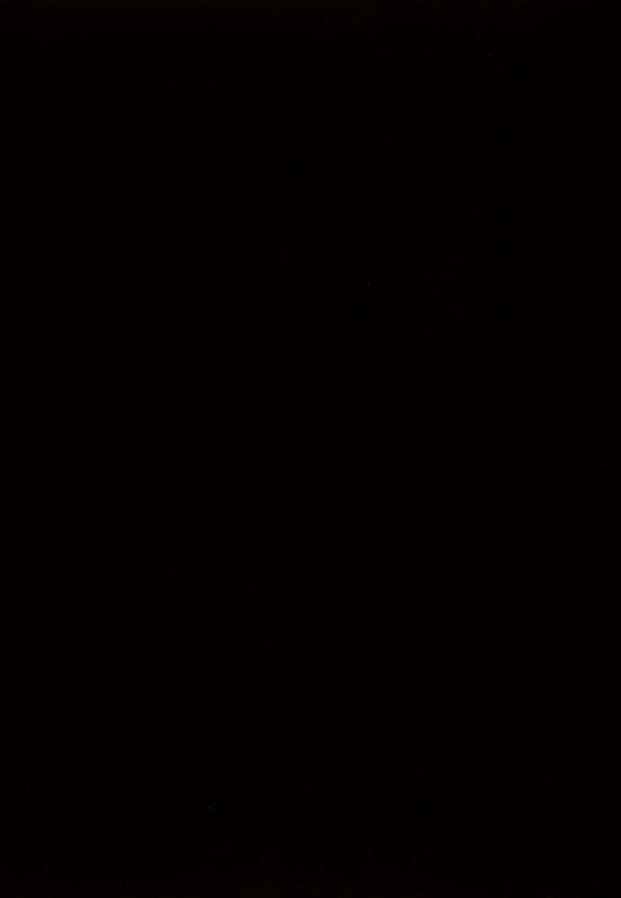 D250-25-IMG13