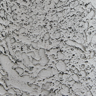 L204464-COLOR