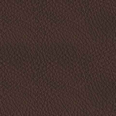U1330113-COLOR