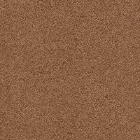 PCU1340161-COLOR