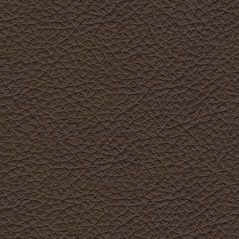 U4380898-COLOR