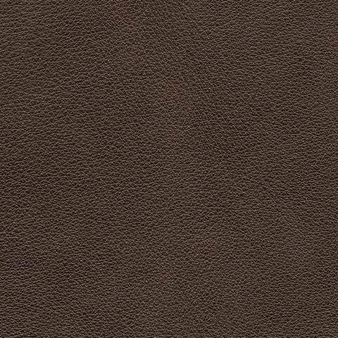 PCU6450613-COLOR
