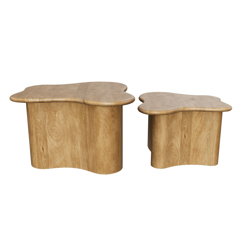 Abeford Accent Coffee Table (Set of 2)