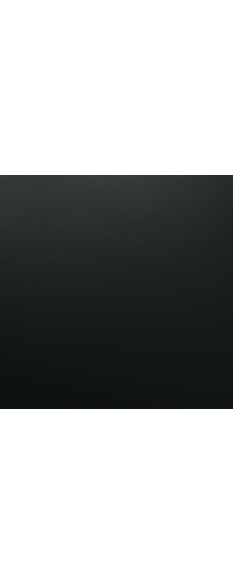 Lanolee Queen Panel Bed with Mirrored Dresser