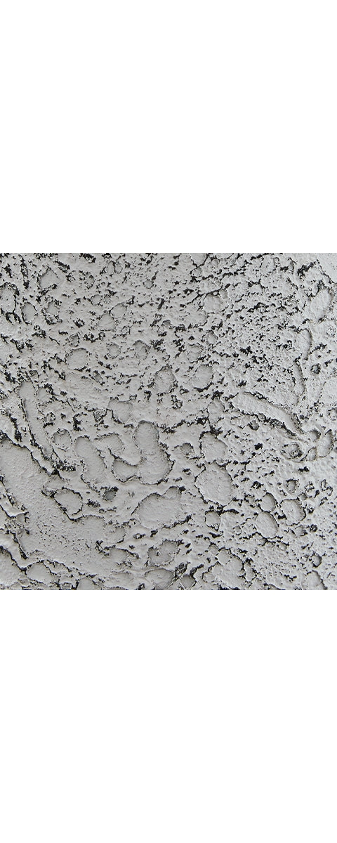 Chaston Table Lamp (Set of 2)