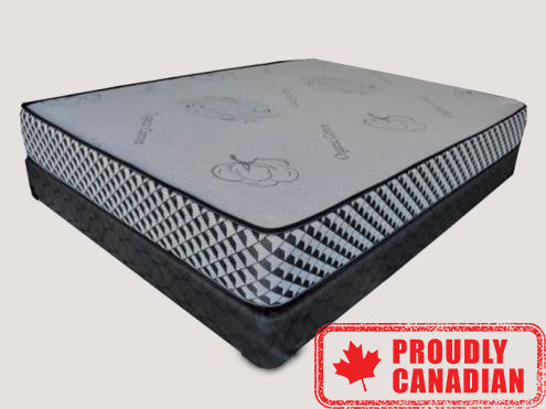 10" Premium Foam Mattress