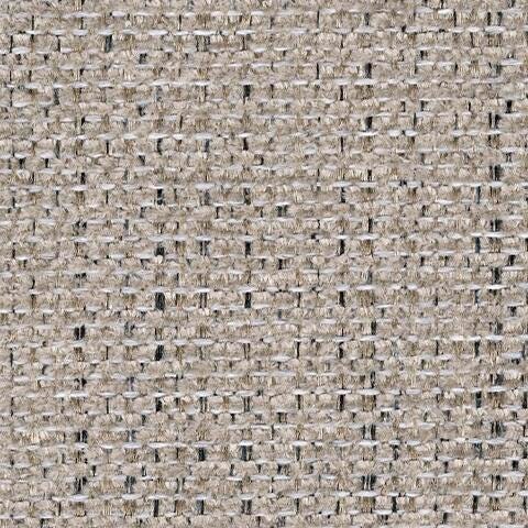 3100436-COLOR
