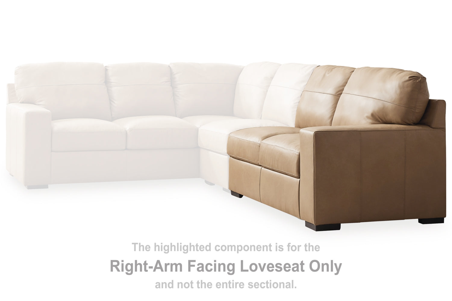 38006S3C_3800656C-SPECKO