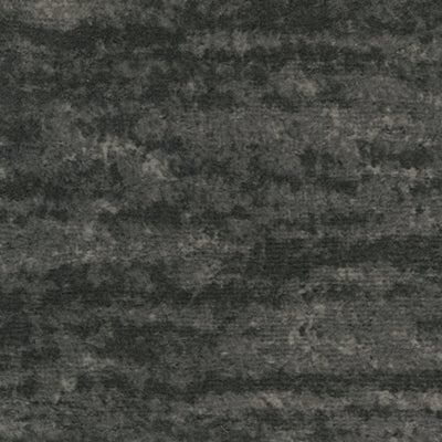 5050408-COLOR