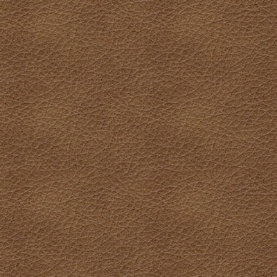 PKG015815-COLOR