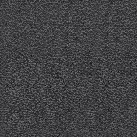 5560438-COLOR