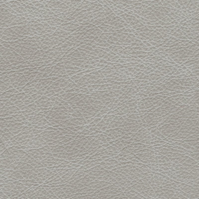 5740408C-COLOR