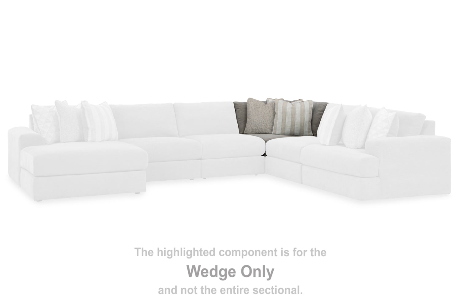 PKG015535_5810377-SPECKO