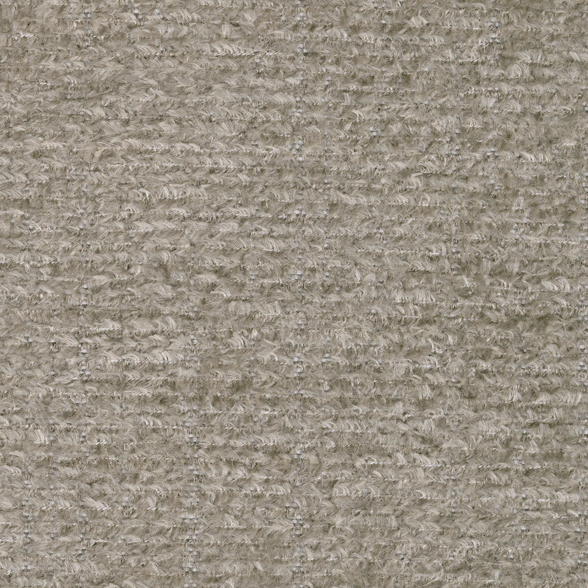 5950425-COLOR