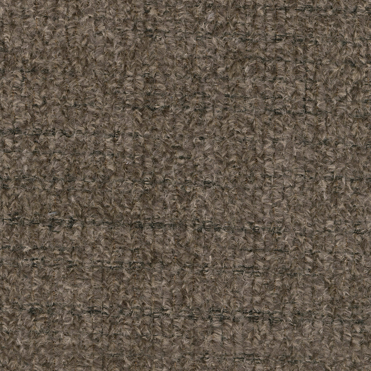5950525-COLOR