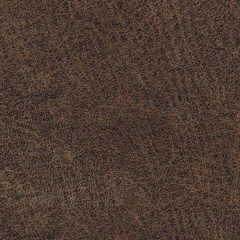 6030529-COLOR