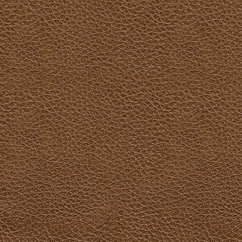 PC7310938-COLOR