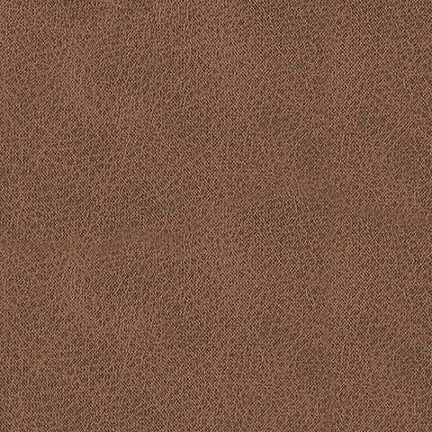 7471429-COLOR