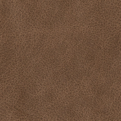 7490914-COLOR