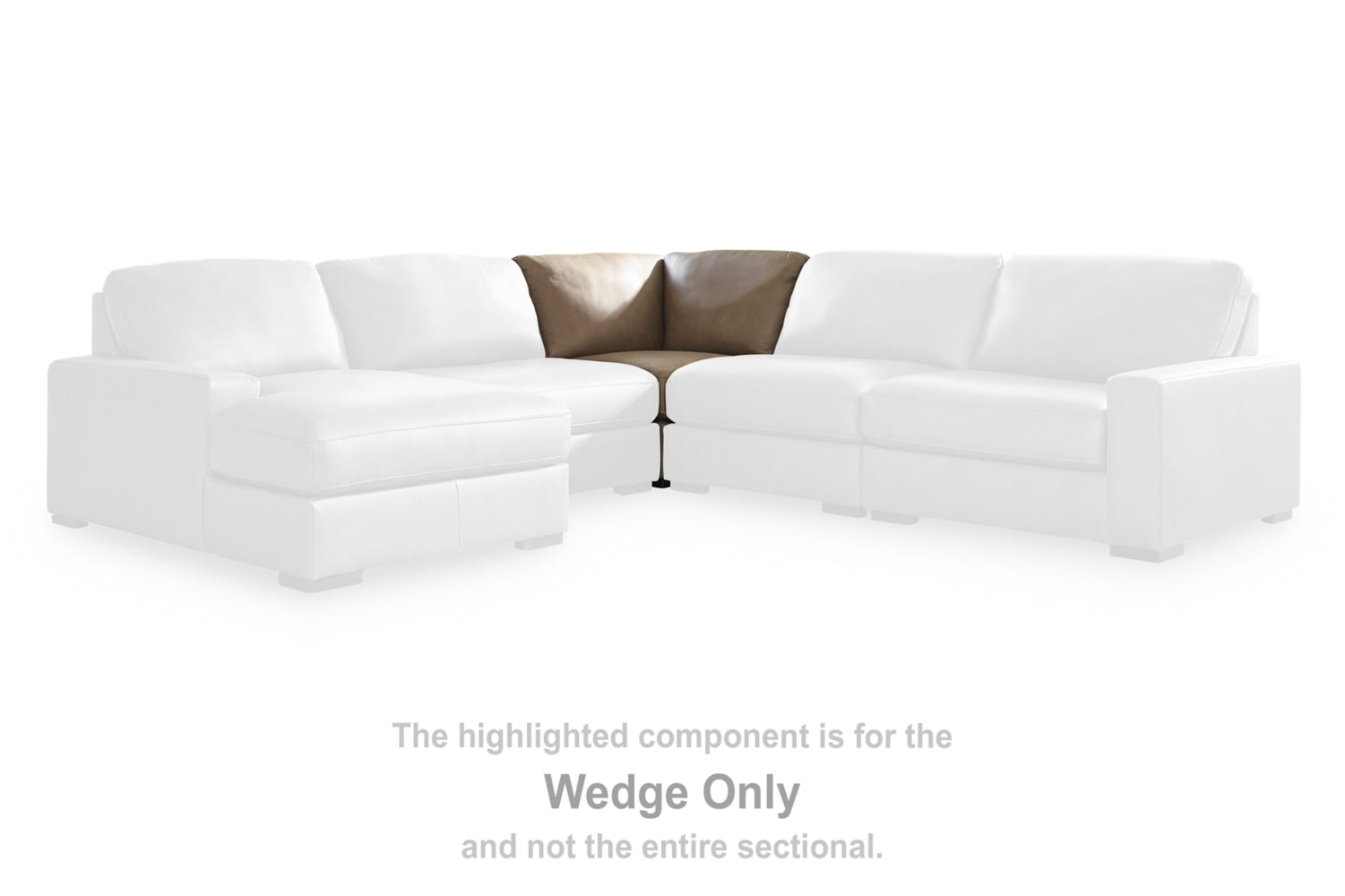 76106S17_7610677-SPECKO