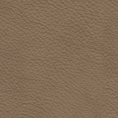76106S1-COLOR