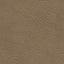 Sahara
