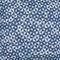 Blue/White