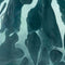 Iridescent Teal