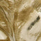 Gold/Silver Finish