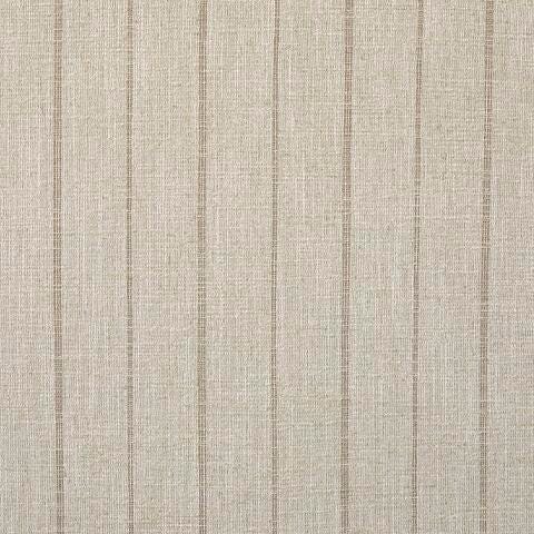 A3000817-COLOR