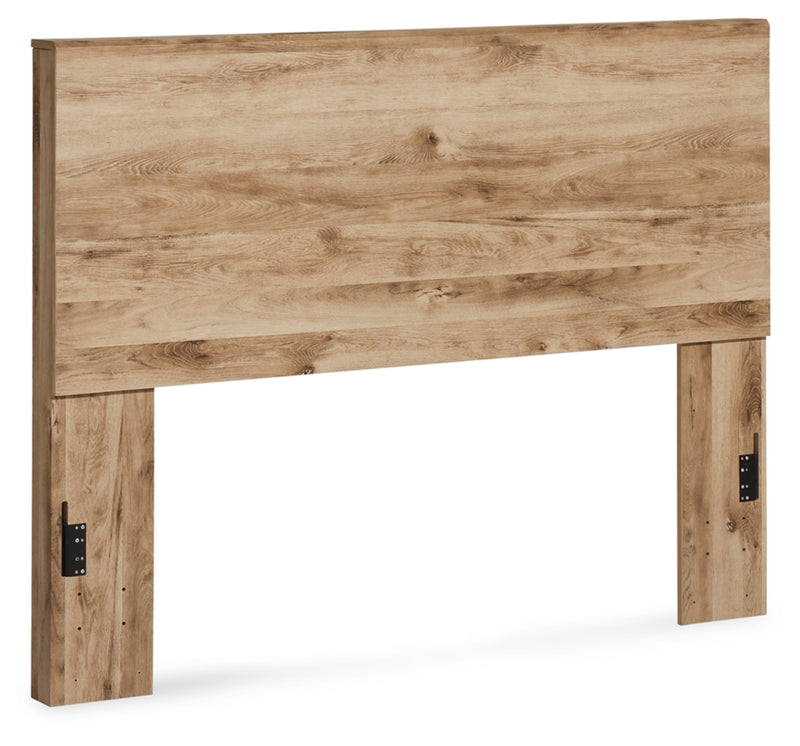 B1050B8_B1050-57-SPECKO