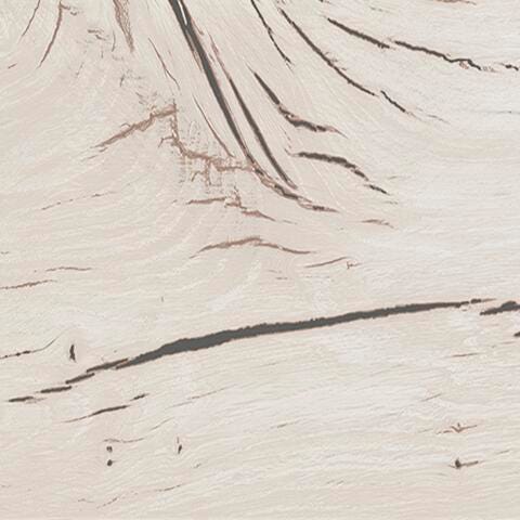 B2310-57-COLOR